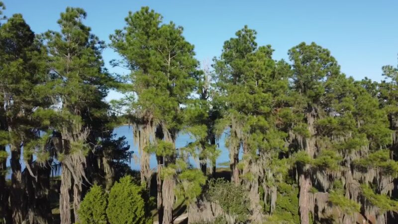 Hardee County Lakes - Bowling Green, FL