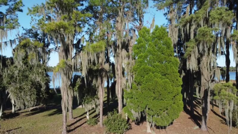 Hardee Lakes County Park - Bowling Green, FL