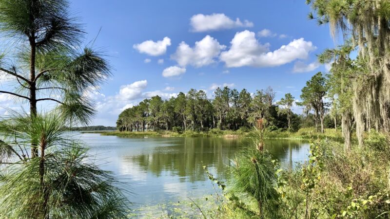 Hardee Lakes County Park - Bowling Green, FL
