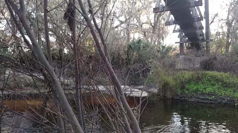 Paynes Creek Historic State Park - Bowling Green, FL