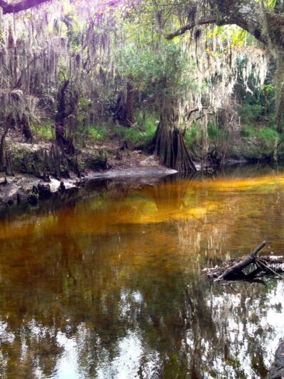 Paynes Creek Historic State Park - Bowling Green, FL