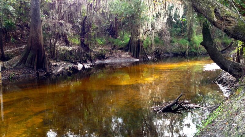 Paynes Creek Historic State Park - Bowling Green, FL