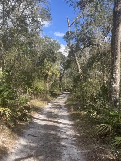 Paynes Creek Historic State Park - Bowling Green, FL