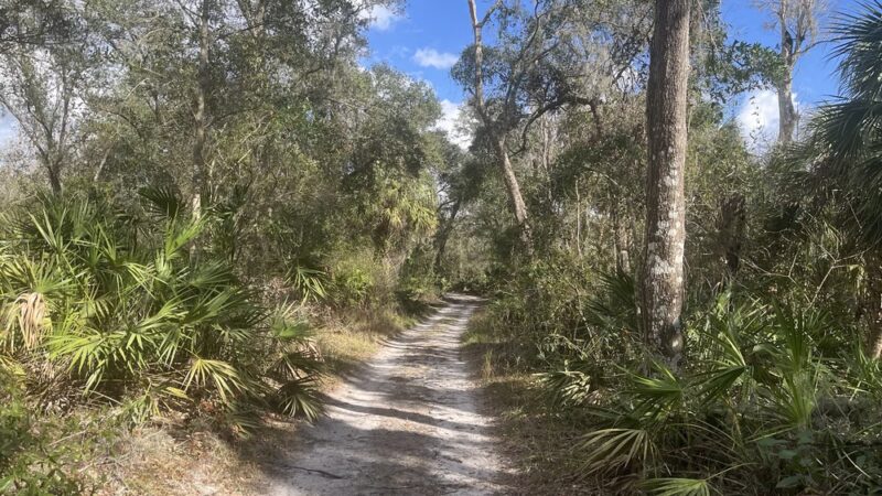 Paynes Creek Historic State Park - Bowling Green, FL
