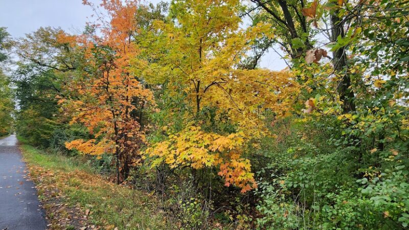 Soo Line Trail | Bowlus - Bowlus, MN