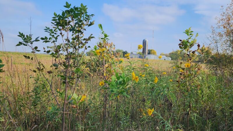 Soo Line Trail | Bowlus - Bowlus, MN