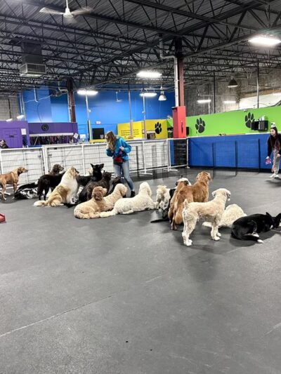Fetch n' Catch - Bowmansville, NY