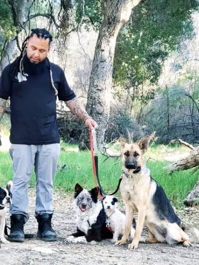 BowWow Day Camp - ,