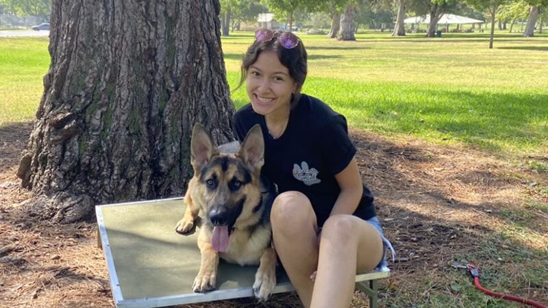 BowWow Day Camp - ,