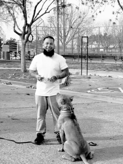 BowWow Day Camp - ,