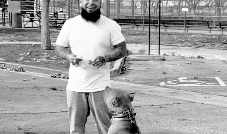 BowWow Day Camp - ,