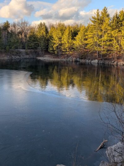 Boxford State Forest - Boxford, MA
