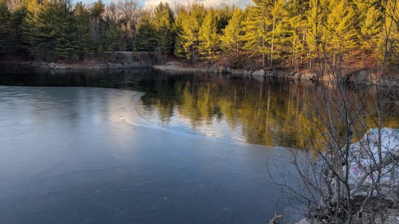 Boxford State Forest - Boxford, MA