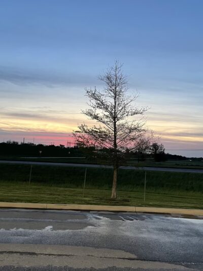 Dog Park at Love’s Travel Stops - Boyce, LA