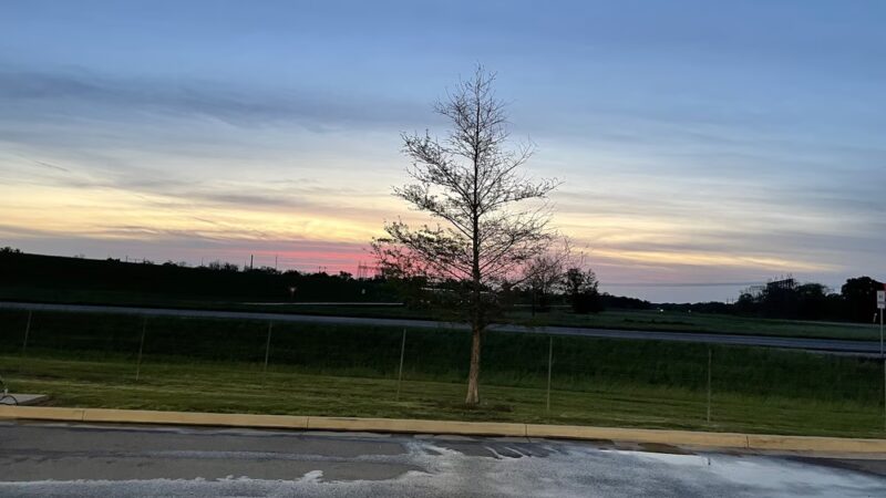 Dog Park at Love’s Travel Stops - Boyce, LA