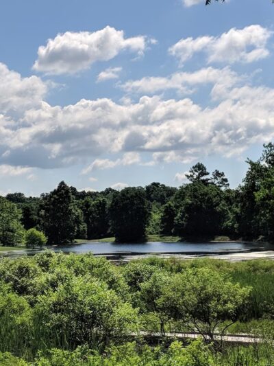 Blandy Garden for the Community - Boyce, VA