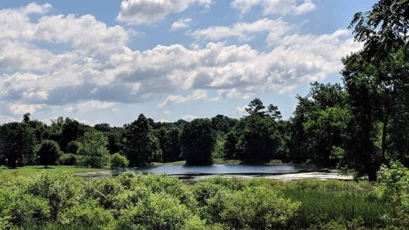 Blandy Garden for the Community - Boyce, VA