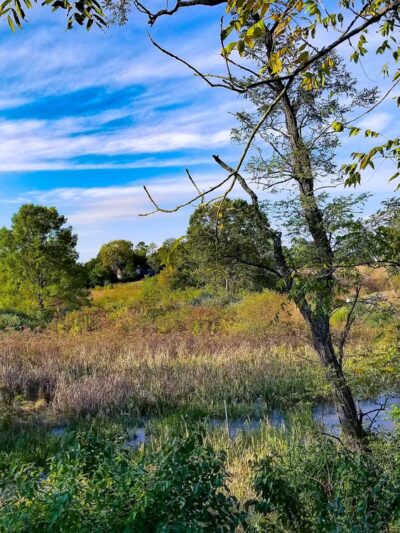 Blandy Garden for the Community - Boyce, VA
