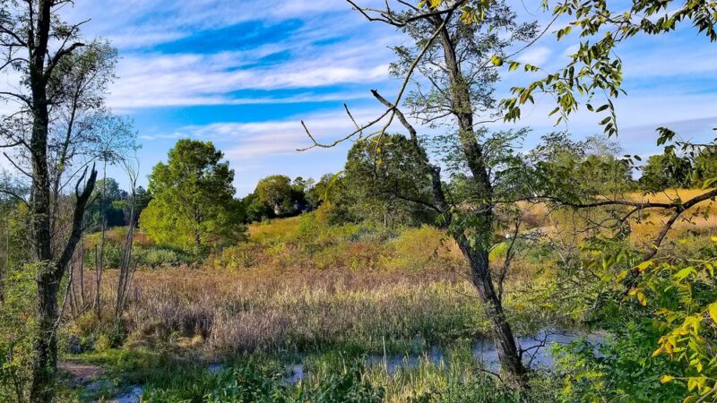 Blandy Garden for the Community - Boyce, VA