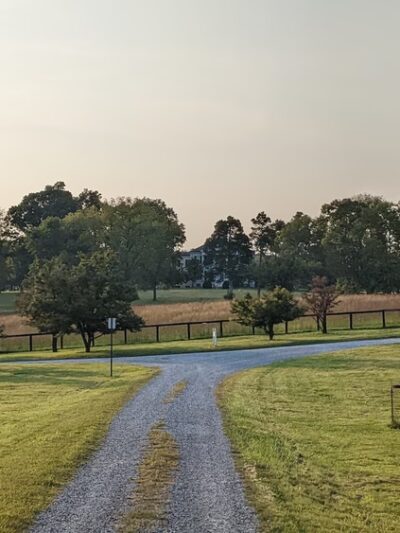 Blandy Garden for the Community - Boyce, VA
