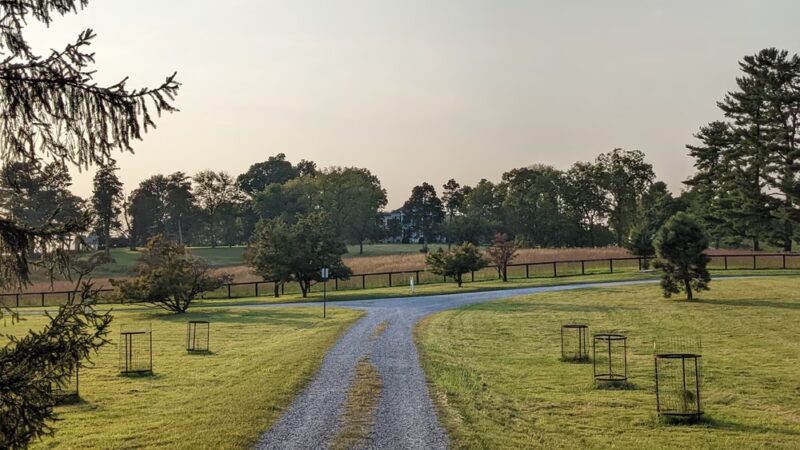Blandy Garden for the Community - Boyce, VA