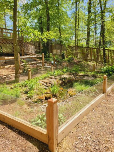 Blue Ridge Wildlife Center - Boyce, VA