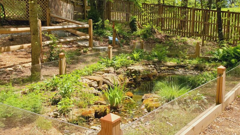 Blue Ridge Wildlife Center - Boyce, VA
