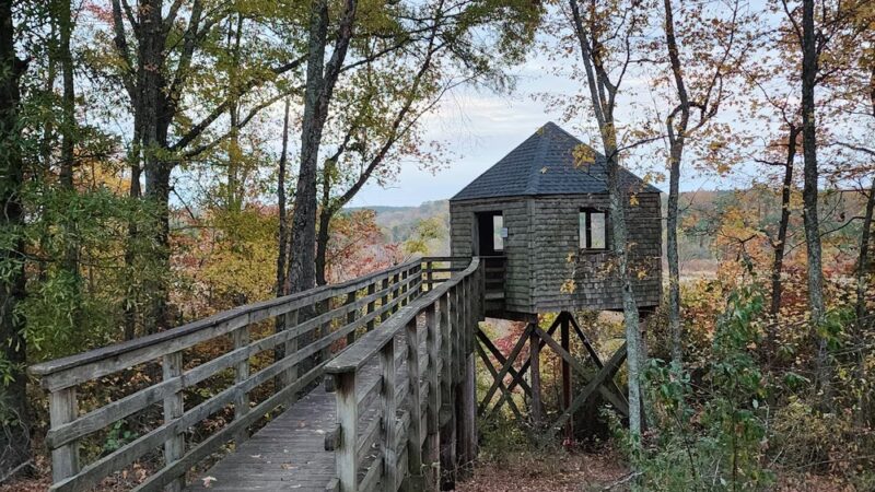 Dick Cross Wildlife Management Area - Boydton, VA