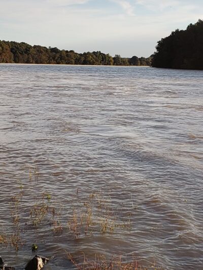 Dick Cross Wildlife Management Area - Boydton, VA