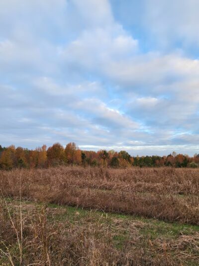 Dick Cross Wildlife Management Area - Boydton, VA