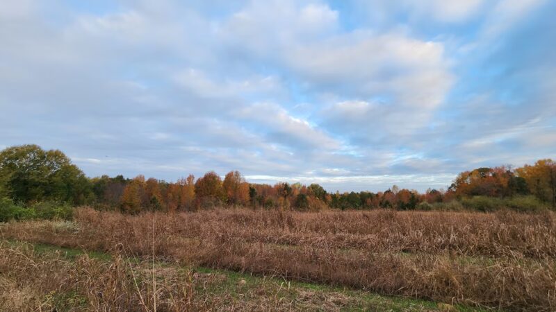 Dick Cross Wildlife Management Area - Boydton, VA