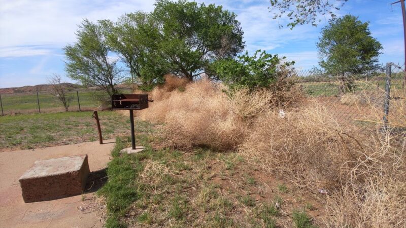 Boy's Ranch Picnic Area - Boys Ranch, TX