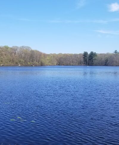 Pond Meadow Park - Braintree, MA