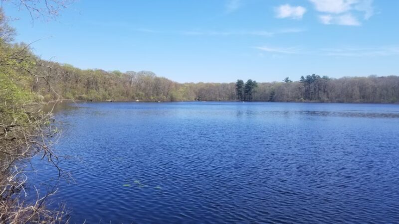 Pond Meadow Park - Braintree, MA