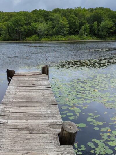 Pond Meadow Park - Braintree, MA