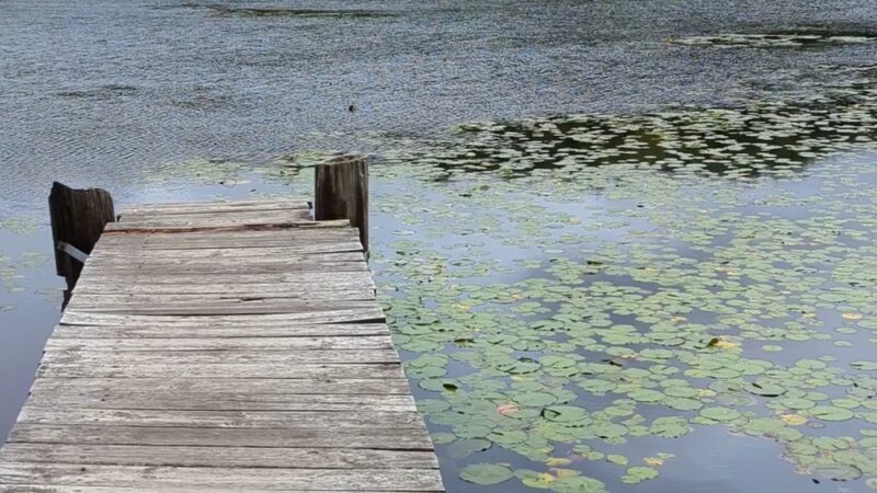 Pond Meadow Park - Braintree, MA