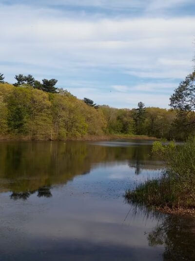 Pond Meadow Park - Braintree, MA
