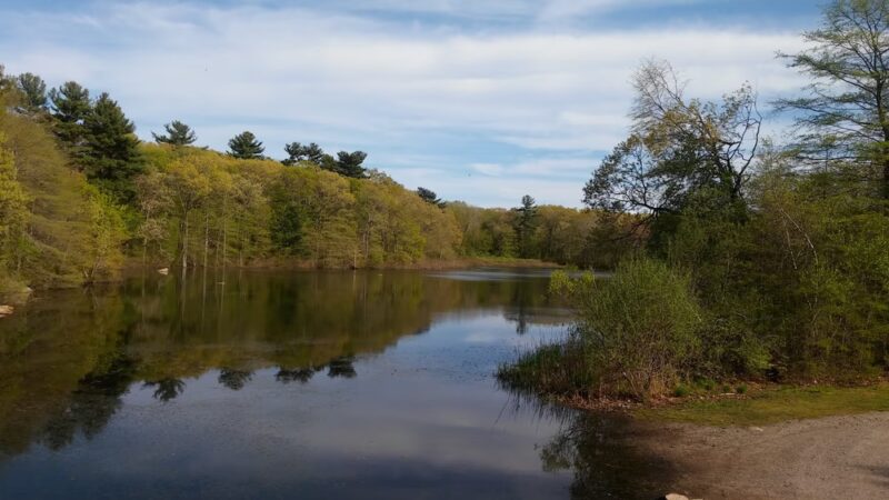 Pond Meadow Park - Braintree, MA