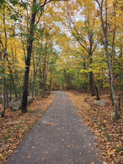 Pond Meadow Park - Braintree, MA