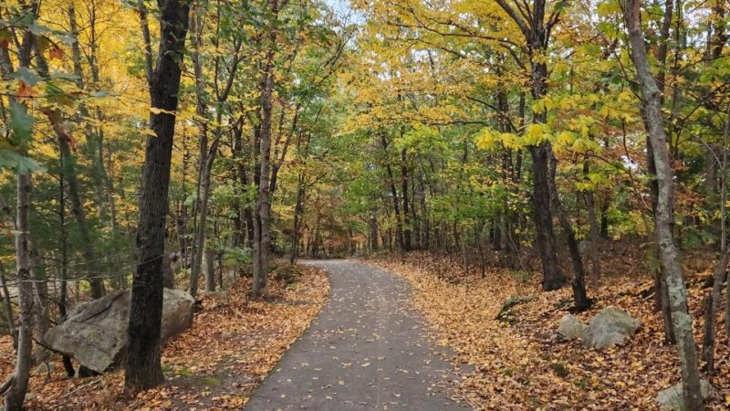 Pond Meadow Park - Braintree, MA