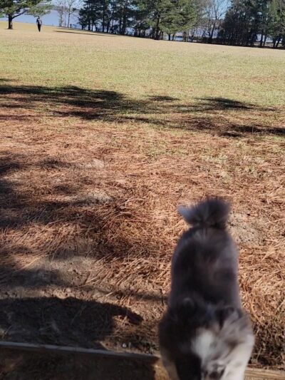 Pelahatchie Shore Park - Brandon, MS