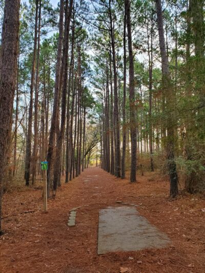 Pelahatchie Shore Park - Brandon, MS