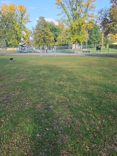 Breckenridge dog park - Breckenridge, MN