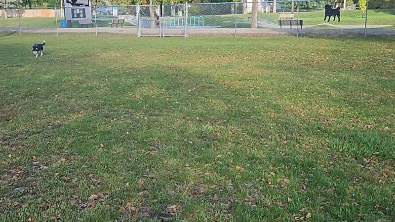 Breckenridge dog park - Breckenridge, MN