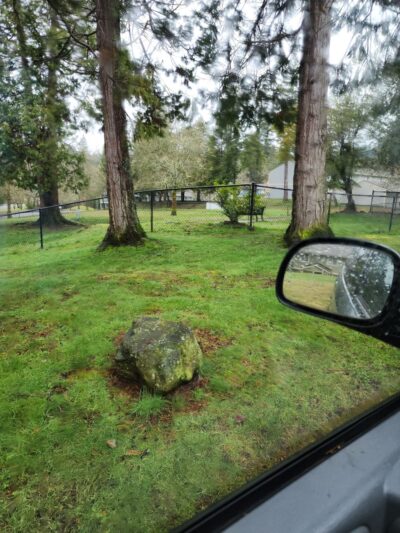 Landings Dog Park - Bremerton, WA