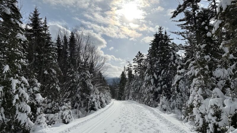 Bretton Woods Nordic Center - Bretton Woods, NH