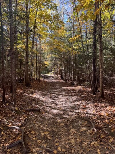 Mount Willard Trail Head - Bretton Woods, NH