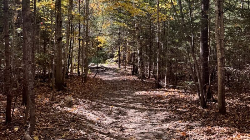 Mount Willard Trail Head - Bretton Woods, NH