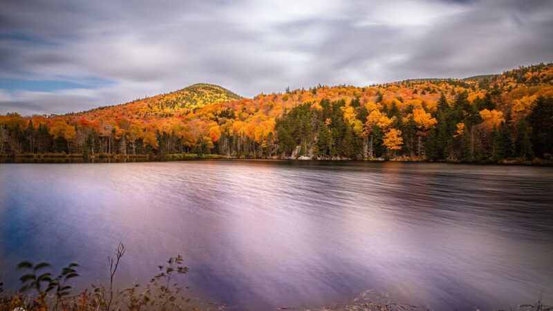 Mount Willard Trail Head - Bretton Woods, NH