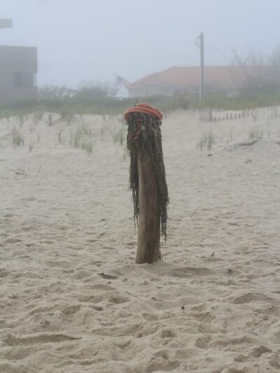 Mecox Beach - Bridgehampton, NY